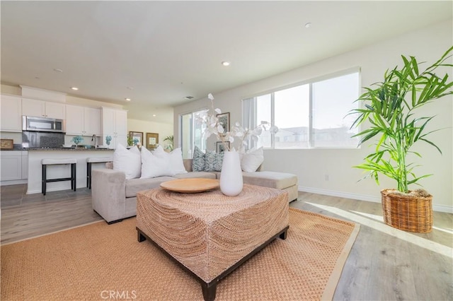 living room featuring light hardwood / wood-style flooring