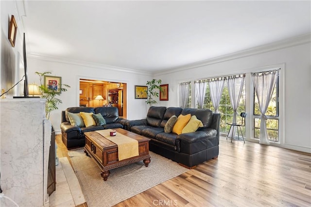 living room featuring light wood-type flooring and crown molding