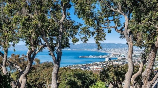 property view of water with a mountain view