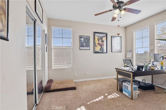 home office with ceiling fan and carpet flooring