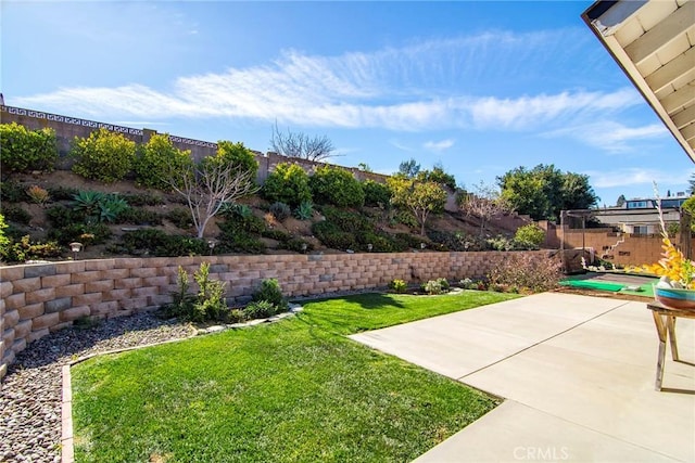 view of yard with a patio area