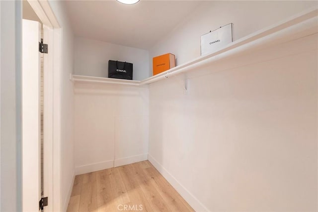 walk in closet featuring hardwood / wood-style flooring