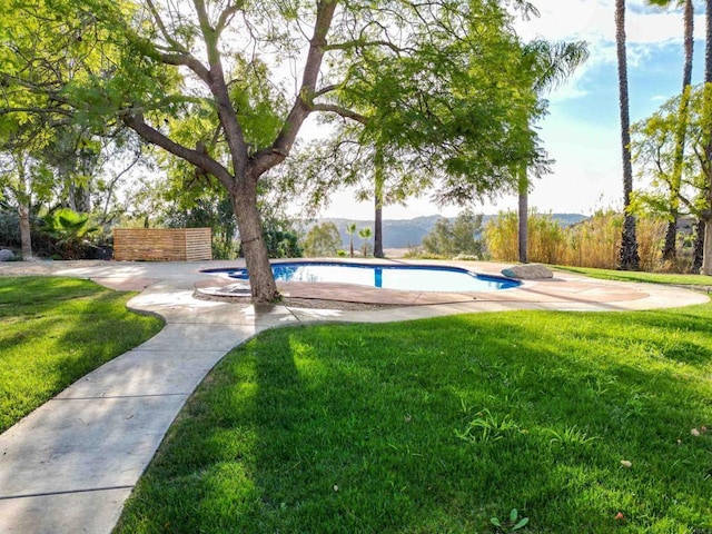 view of pool with a yard