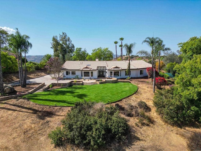 back of house featuring a patio area and a lawn