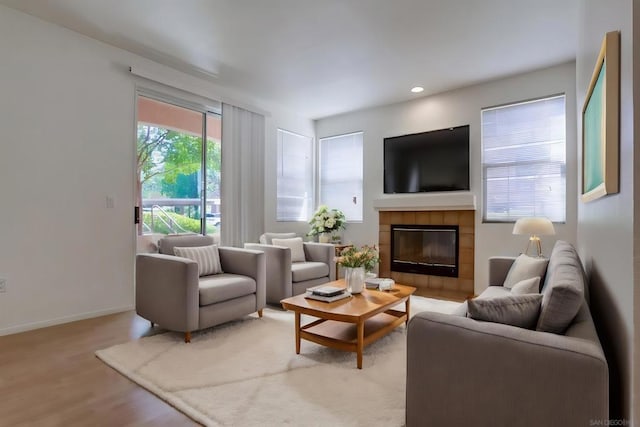 living room with a fireplace and light hardwood / wood-style floors