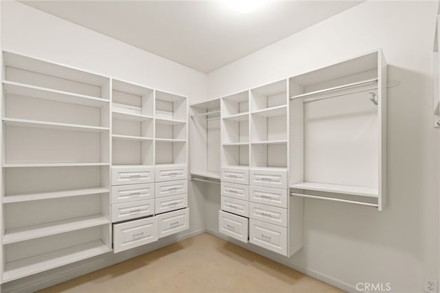 walk in closet featuring light colored carpet