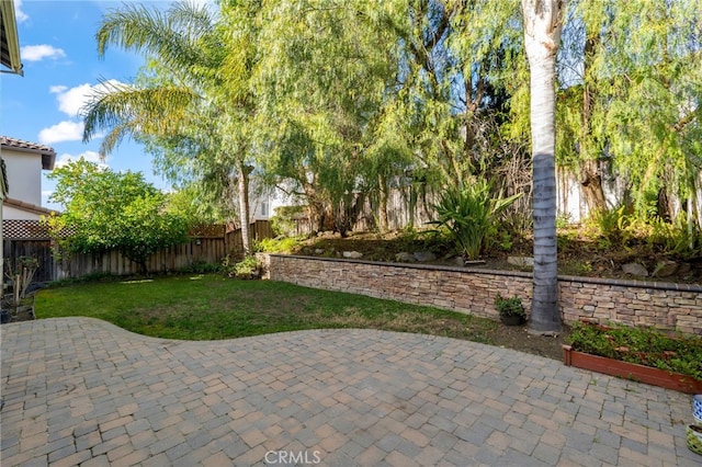 view of yard with a patio