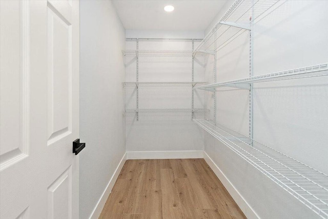 spacious closet with wood-type flooring