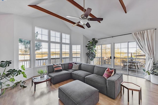 living room featuring beam ceiling, ceiling fan, and light hardwood / wood-style flooring