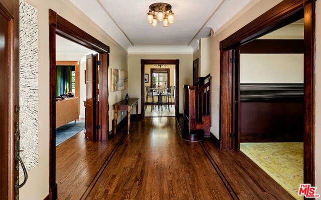 hallway with dark wood-type flooring, crown molding, and an inviting chandelier