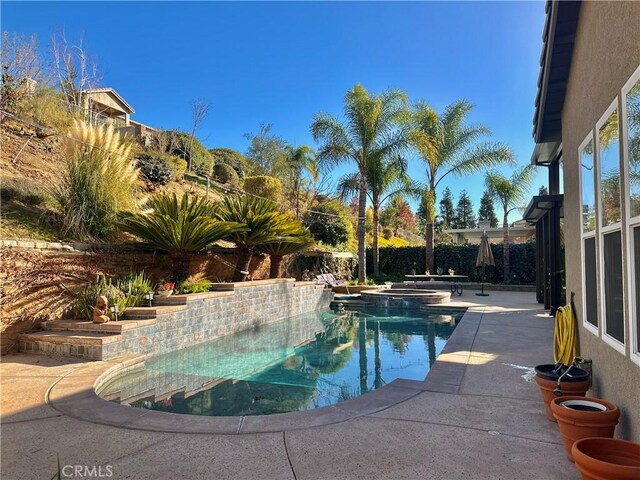 view of swimming pool with a patio area