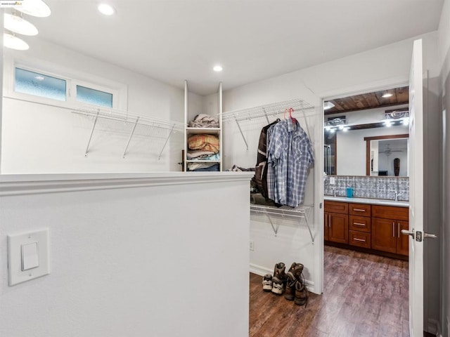 walk in closet featuring dark wood-type flooring and sink