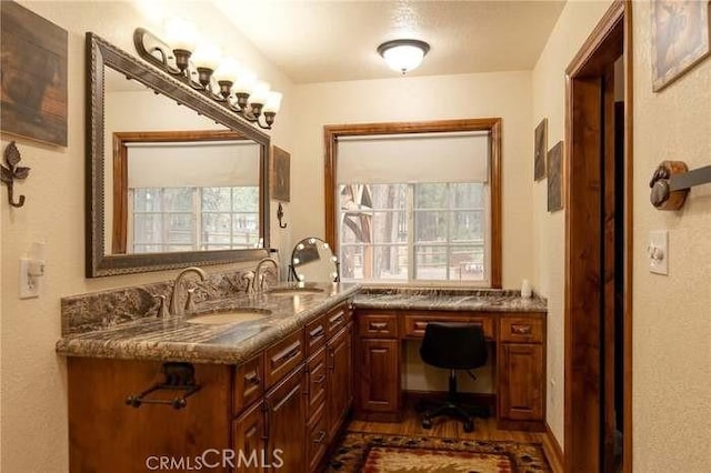 bathroom with a wealth of natural light and vanity