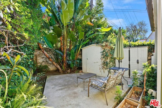 view of patio featuring a storage shed