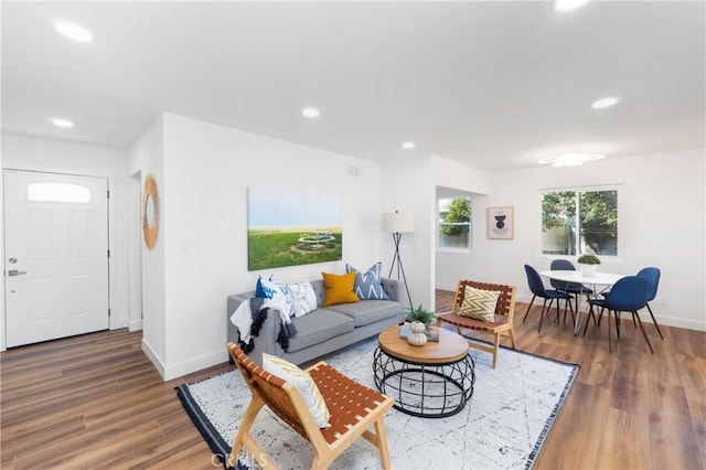 living room featuring wood-type flooring