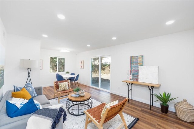 living room with hardwood / wood-style flooring