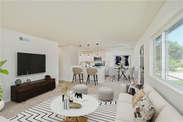 living room featuring a wealth of natural light