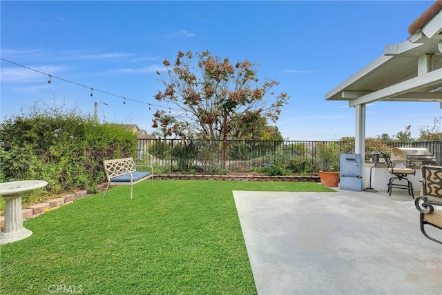 view of yard featuring a patio area and exterior kitchen