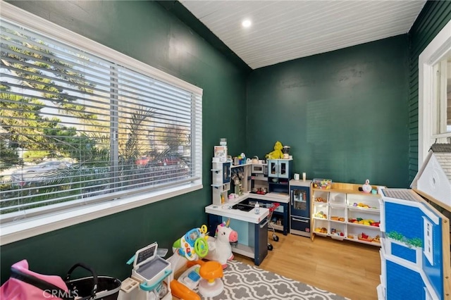 playroom featuring hardwood / wood-style flooring and a healthy amount of sunlight