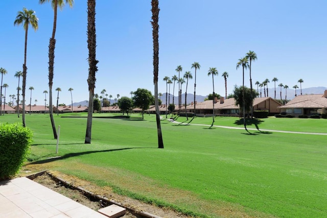 view of property's community featuring a lawn