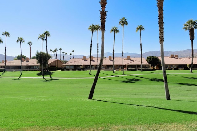 view of community featuring a mountain view and a lawn