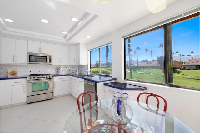 kitchen featuring tasteful backsplash, white cabinets, a tray ceiling, and stainless steel appliances