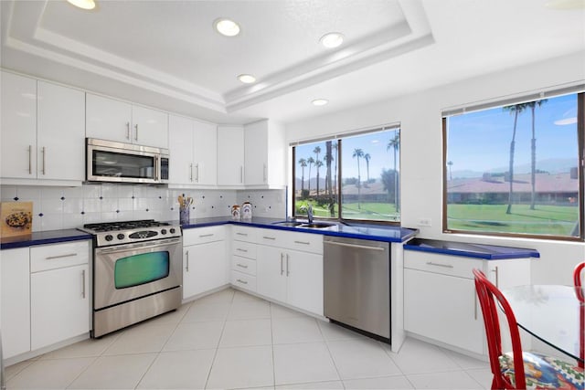 kitchen with white cabinets, backsplash, appliances with stainless steel finishes, and a tray ceiling