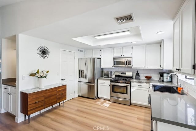 kitchen featuring sink, white cabinetry, a tray ceiling, stainless steel appliances, and decorative backsplash