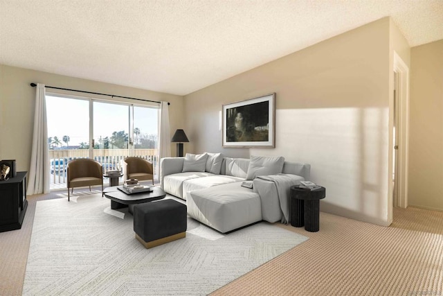 living room featuring a textured ceiling and carpet floors