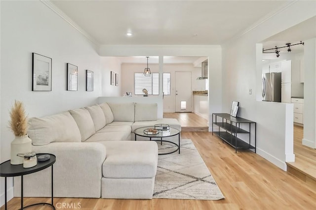 living room with wood-type flooring, crown molding, and track lighting