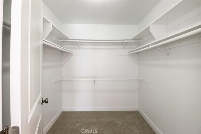 spacious closet featuring dark carpet