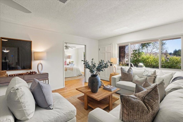 living room with ceiling fan, light wood-type flooring, and a textured ceiling