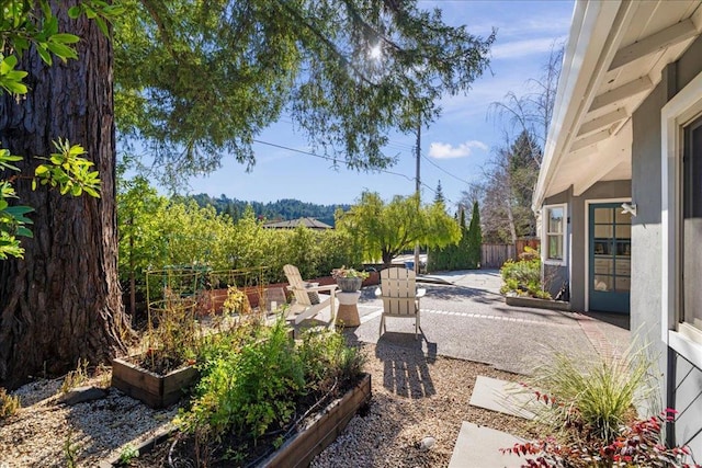 view of yard featuring a patio area