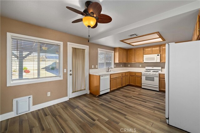 kitchen with sink, white appliances, dark hardwood / wood-style flooring, and a healthy amount of sunlight