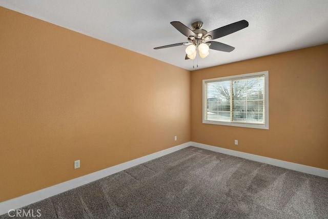 spare room featuring carpet floors