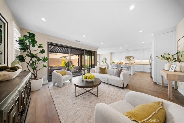 living room with plenty of natural light and light wood-type flooring