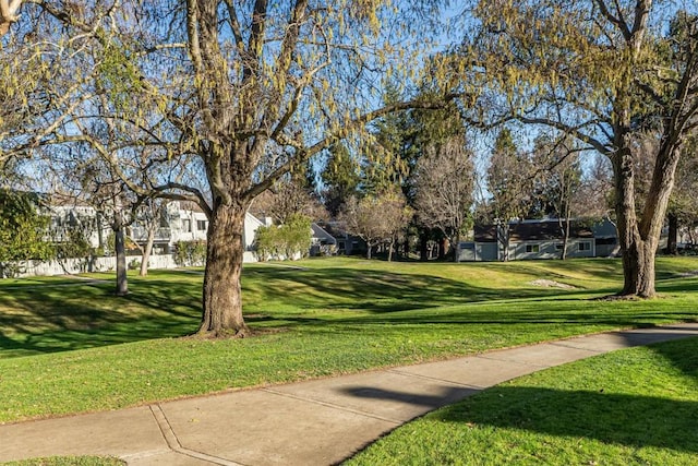 surrounding community featuring a yard