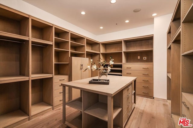 spacious closet with light wood-type flooring