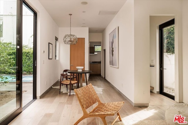 hallway with light hardwood / wood-style floors, a wealth of natural light, and french doors