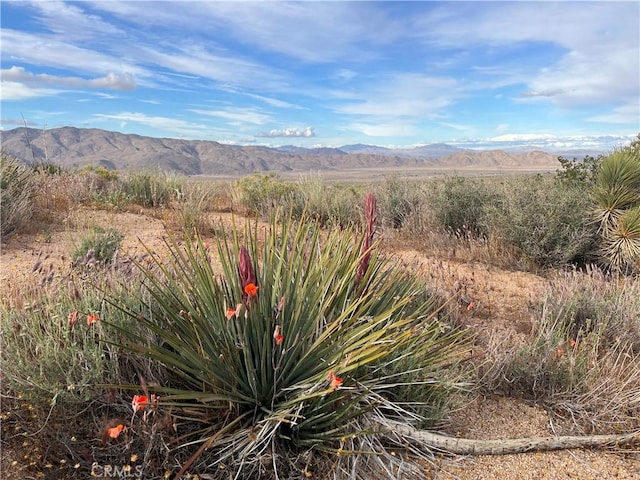 0 Valley View Rd, Apple Valley CA, 92308 land for sale