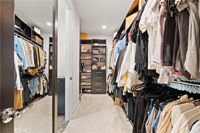 view of spacious closet