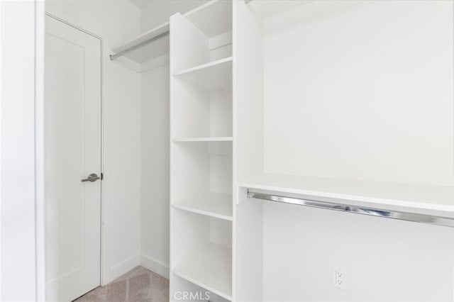 spacious closet featuring light colored carpet