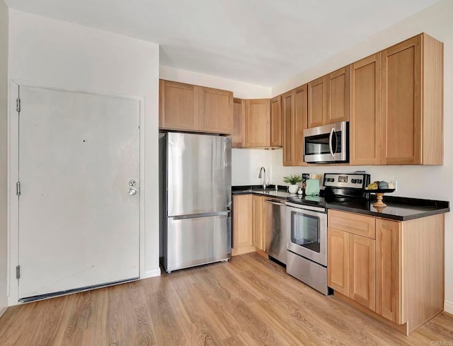 kitchen featuring stainless steel appliances, light hardwood / wood-style floors, and sink