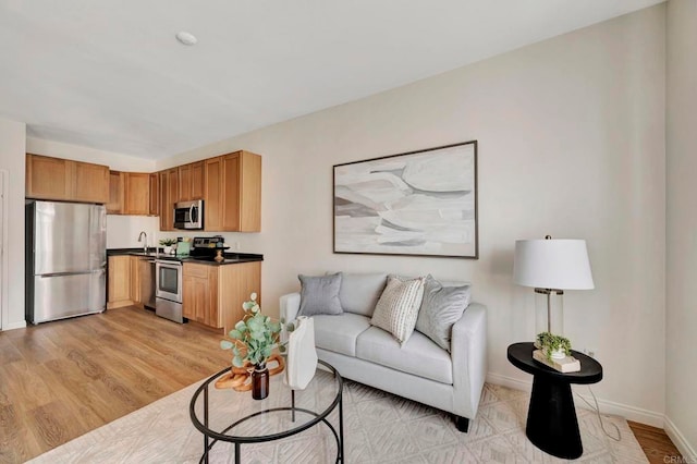 living room with light hardwood / wood-style flooring and sink