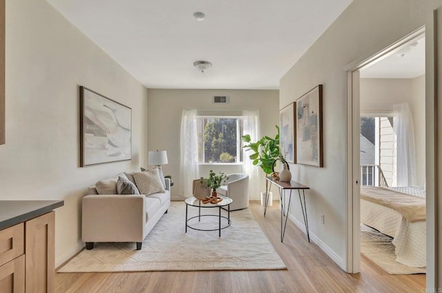 living room featuring light hardwood / wood-style floors