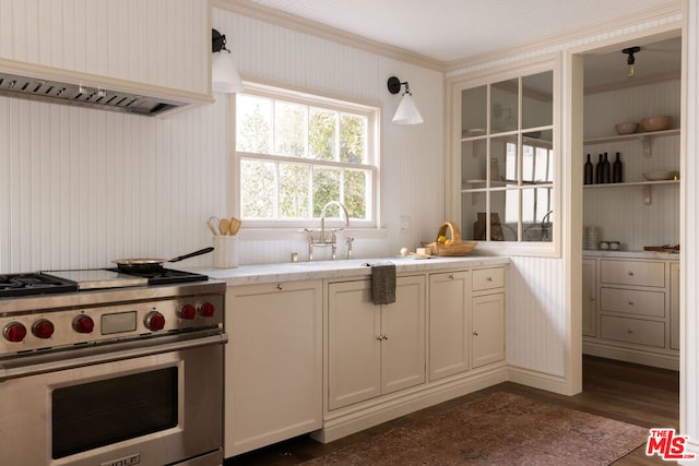 kitchen with luxury stove, custom exhaust hood, dark wood-type flooring, pendant lighting, and sink