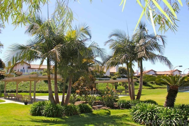 view of home's community featuring a yard