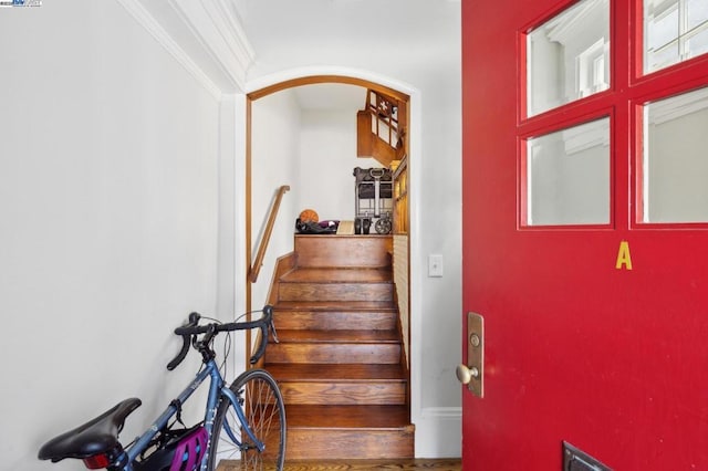 staircase featuring hardwood / wood-style floors