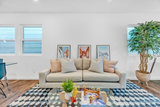 living room with hardwood / wood-style flooring