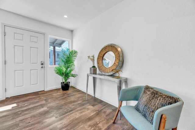 entrance foyer with dark wood-type flooring